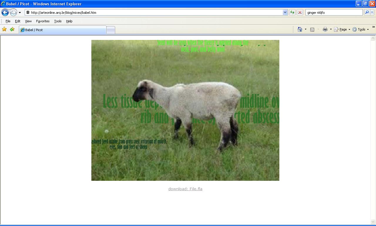 Are Grass Seeds Affecting Your Sheep And Wool?