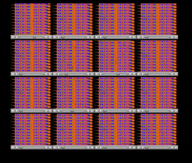 Net Wall