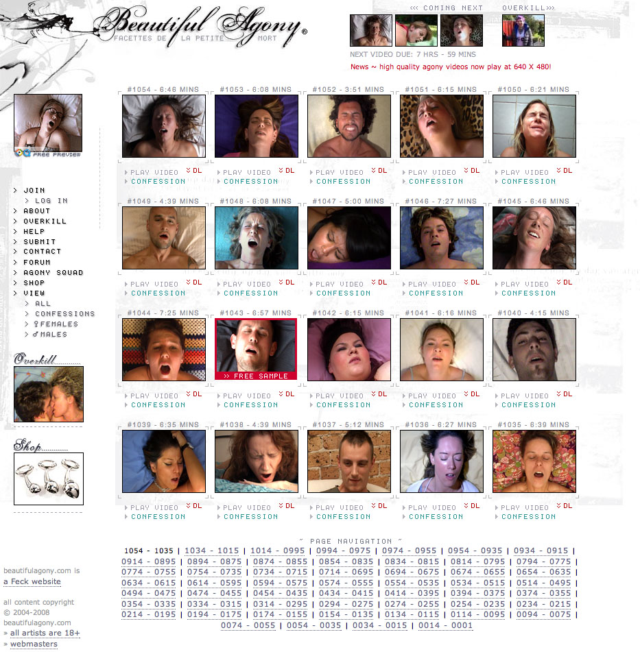 Beautiful Agony: facettes de la petite mort