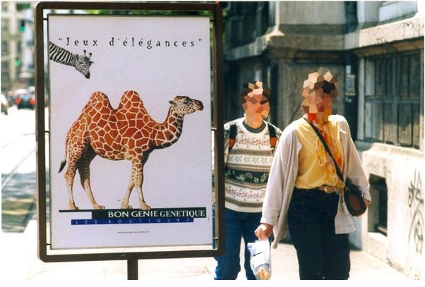 … Génétique : Bon Génie Génétique