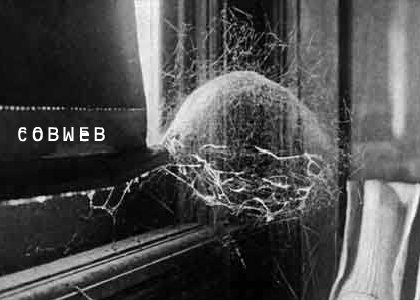 Cobweb