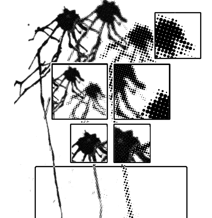 Graphic poems