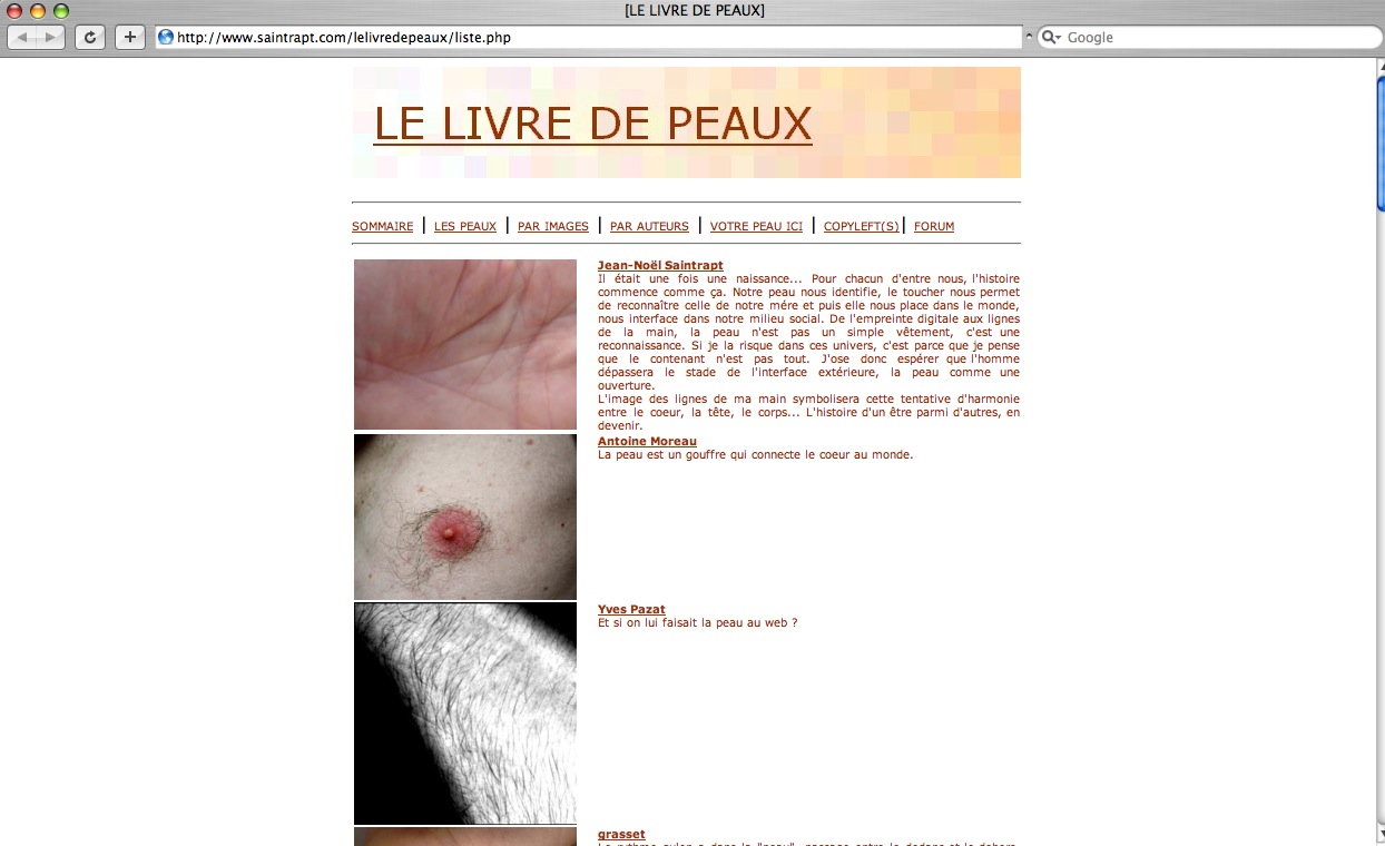 Le livre de peaux: Les peaux