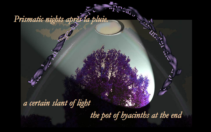 Light Water: A Mosaic of Meditations