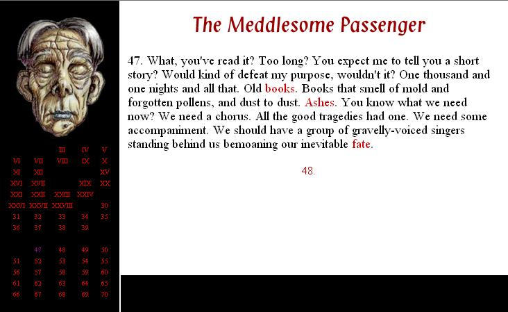 The Meddlesome Passenger