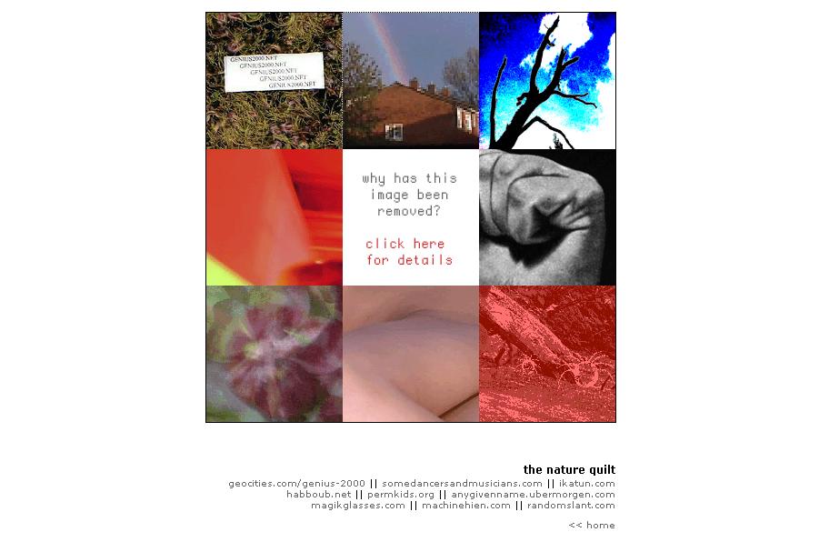 The Nature Quilt