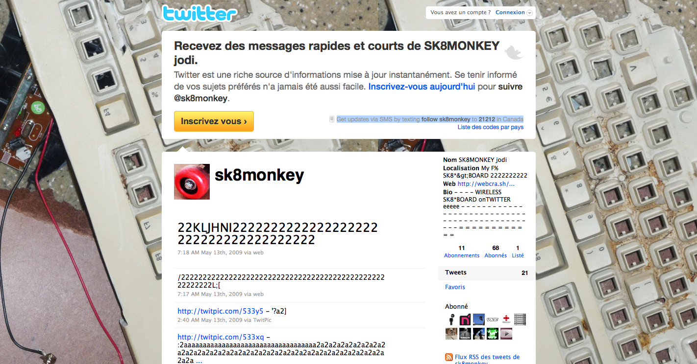 sk8monkey