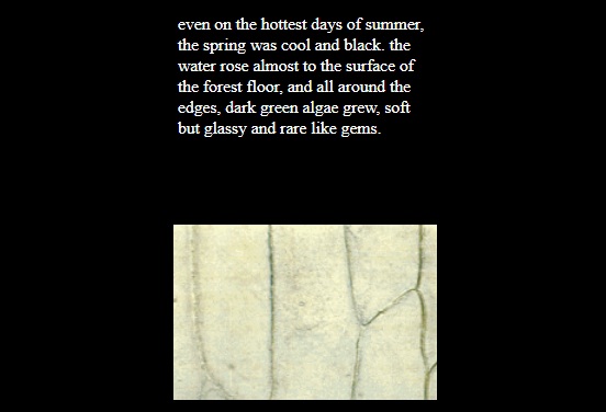 (a grammar of signs has replaced a botany of symptoms)