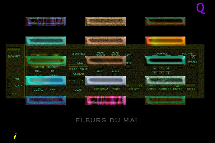 Les fleurs du mal