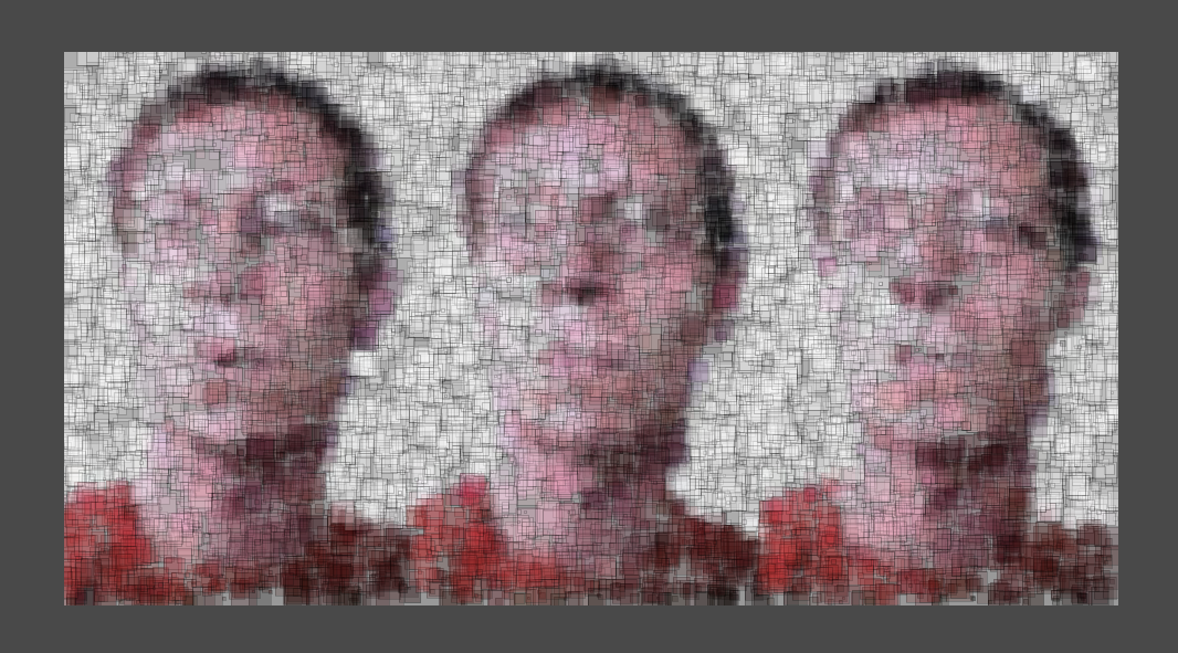 Self Portraits