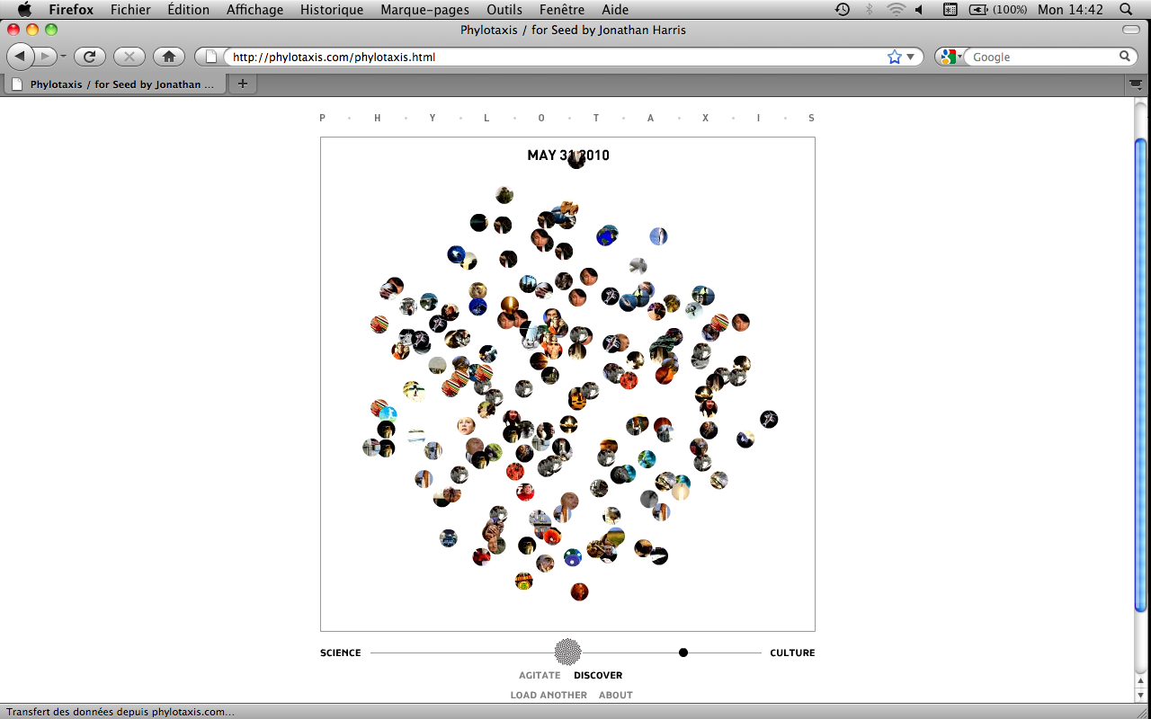 Phylotaxis