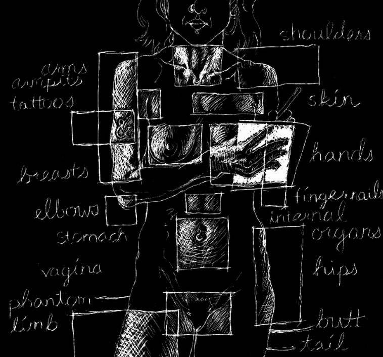 my body – a Wunderkammer