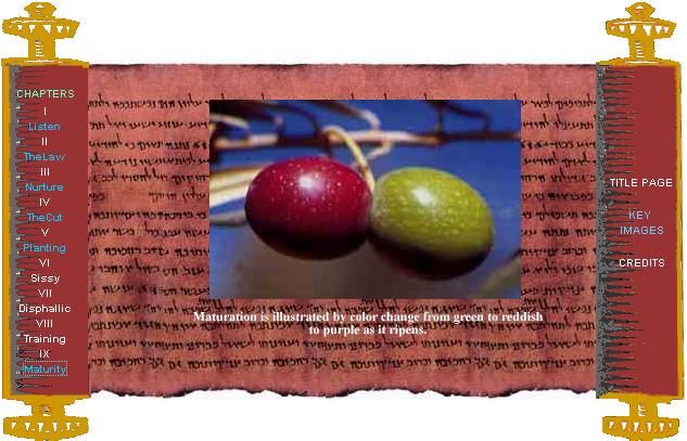 Make me a Jewish man: an Alternate Masculinity