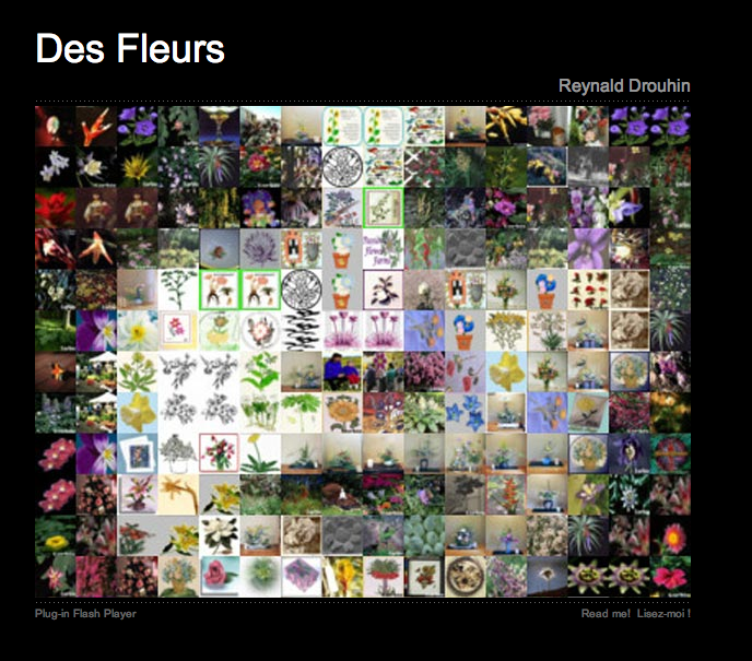 Des Fleurs (capture d’écran #1)