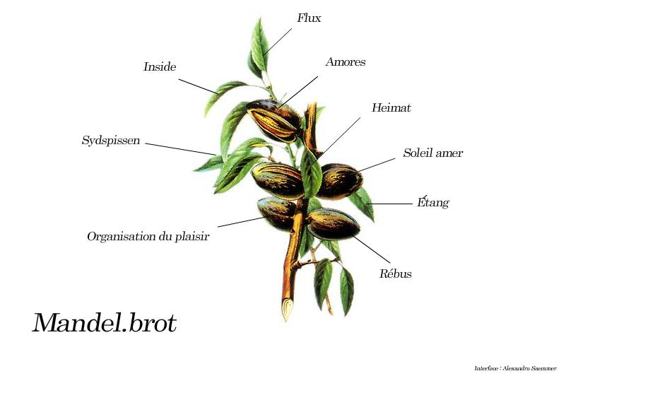 Mandel.brot (capture d’écran #1)