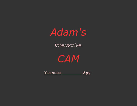 Adam’s CAM (capture d’écran #1)