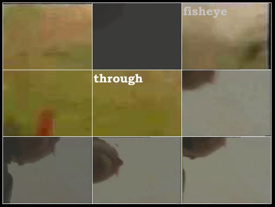 Fisheye TV