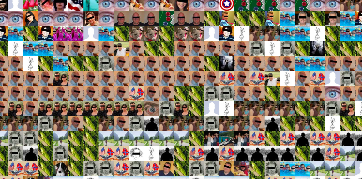 The Virtual Watchers